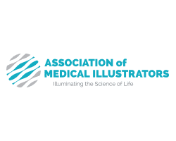 Association of Medical Illustrators (AMI)